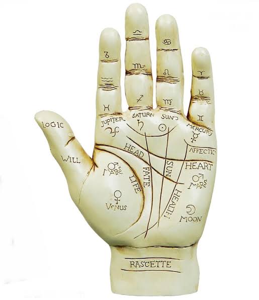 Discover the meaning of islands on the Life Line in palmistry. Learn how they indicate health challenges, stress, and emotional imbalance.